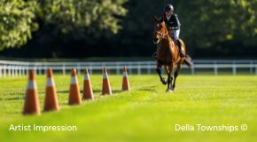 Della Townships luxurious amenities