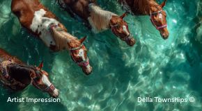 Equestrian Activities at Della Racecourse Township