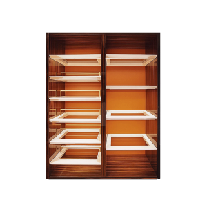 Abeesh Walk-In Wardrobe