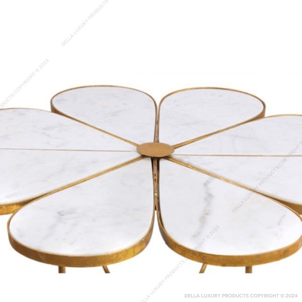 Della Luxury Home Furniture Metal Collection Coffee Table 10HOME53664