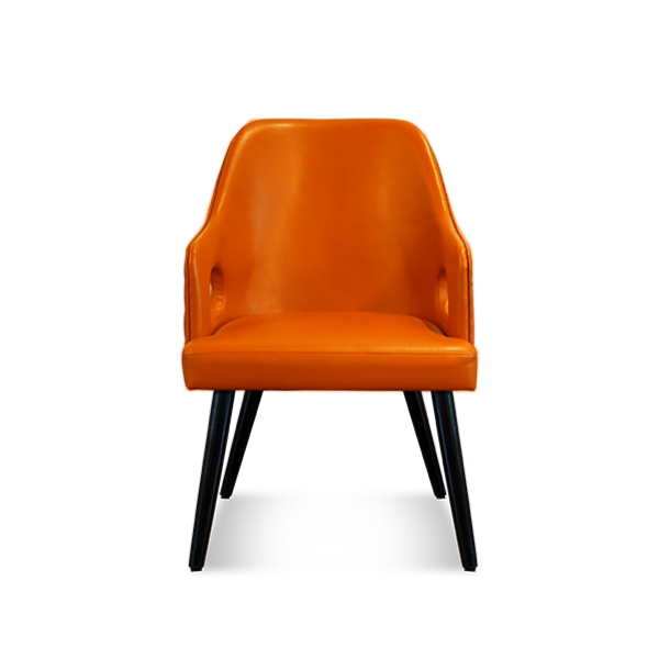 Della Luxury Home Furniture Abeesh-dining-chair HOME54638 gif