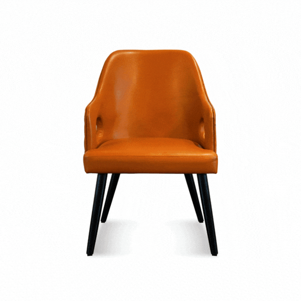 Della Luxury Home Furniture Abeesh-dining-chair HOME54638 gif