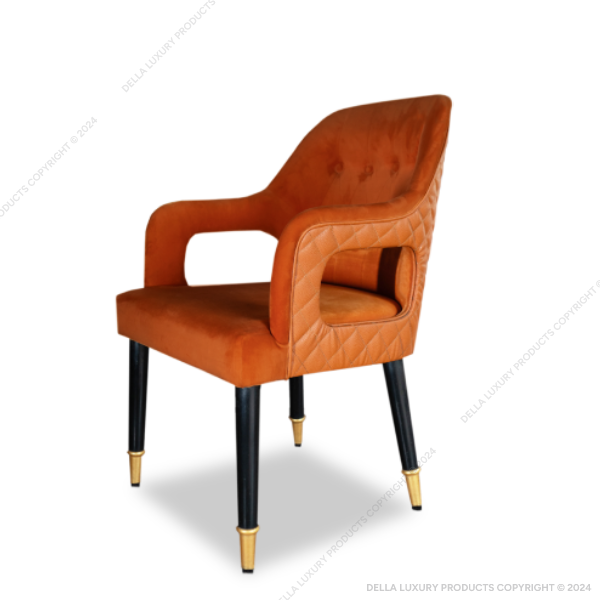 Della Luxury Home Furniture Buyasta Dining Chair HOME53681 Product Image