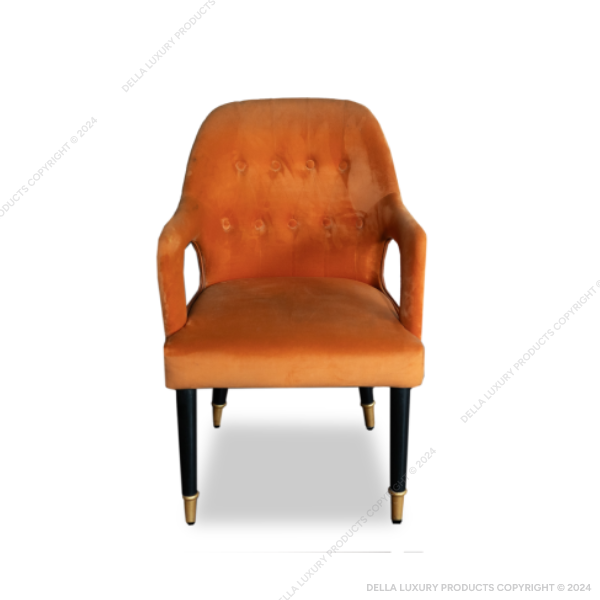 Della Luxury Home Furniture Buyasta Dining Chair HOME53681 Product Image