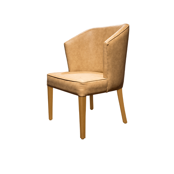 Dining Chair 12 Product Image