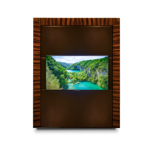 Gira TV Panel