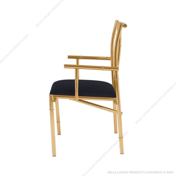 Della Luxury Home Furniture Accent Chair Collection Chair HOME53646