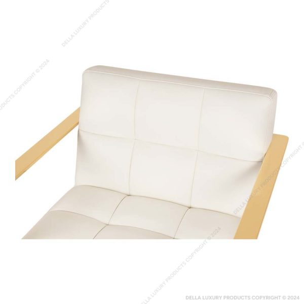 Della Luxury Home Furniture Accent Chair Collection Chair HOME53726