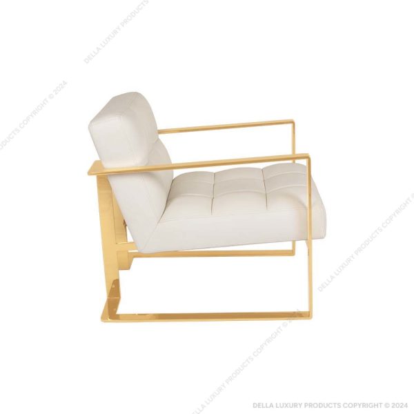 Della Luxury Home Furniture Accent Chair Collection Chair HOME53726