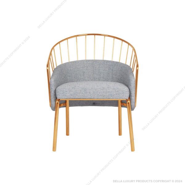 Della Luxury Home Furniture Accent Chair Collection Chair HOME53730