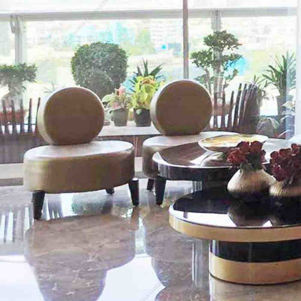 Della Luxury Home Furniture Accent Chair Collection Chair HOME53917