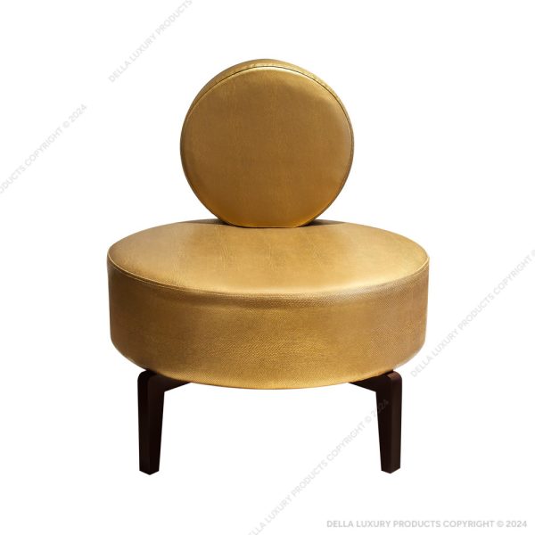 Della Luxury Home Furniture Accent Chair Collection Chair