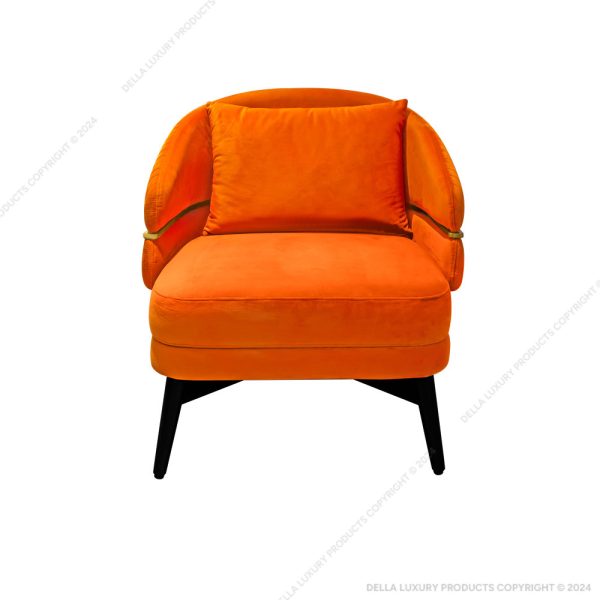 Della Luxury Home Furniture Accent Chair Collection HOME54729