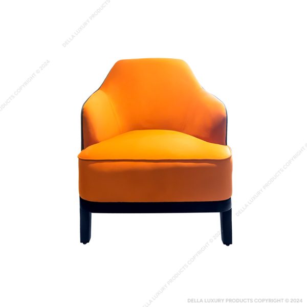 Della Luxury Home Furniture Accent Chair Collection Chair HOME54730