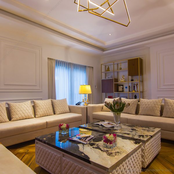 Della Luxury Home Furniture Neda Collection Sofa HOME54865