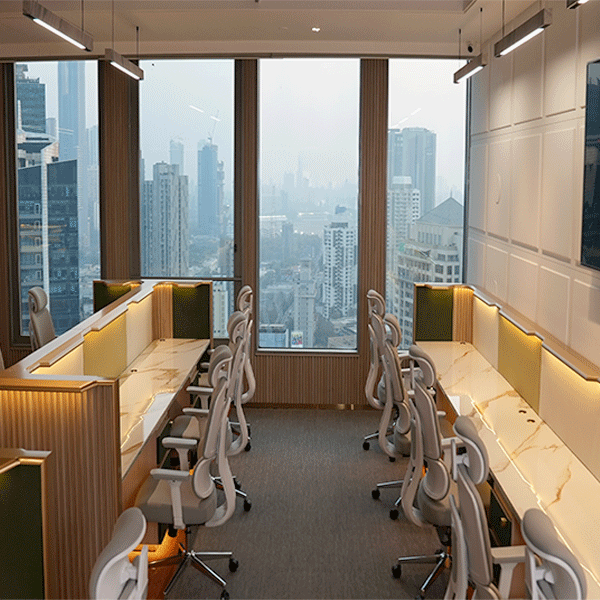 1-Bardiya Straight Workstation DELL5200