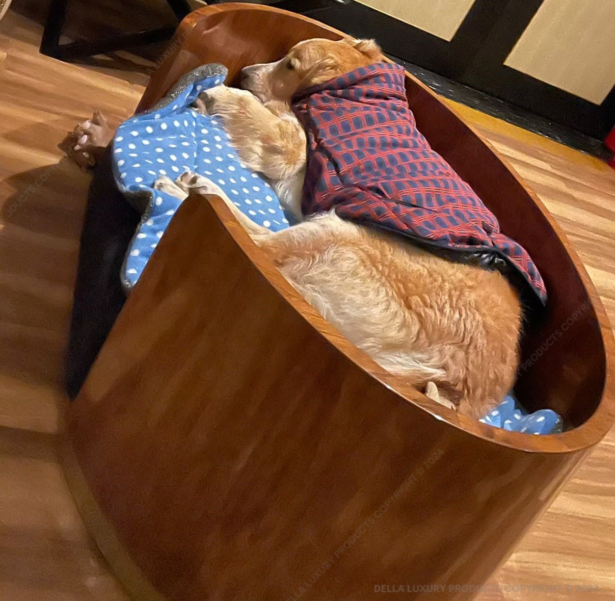 Cista Pet Bed