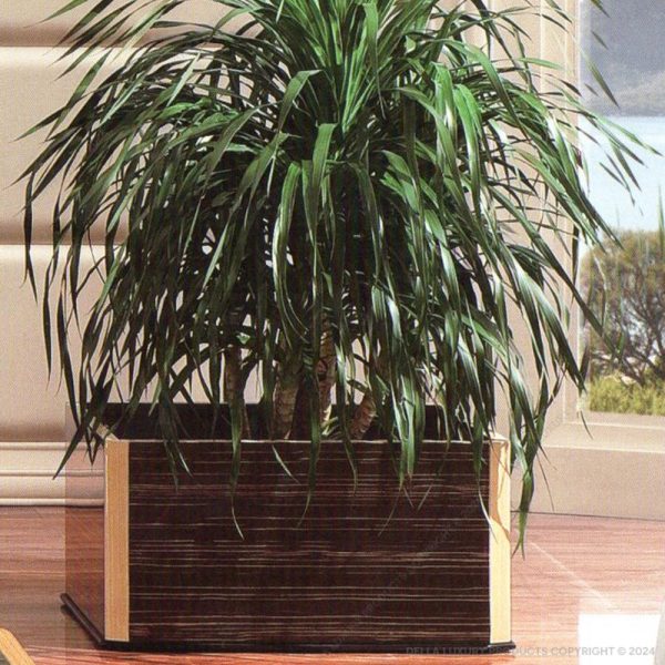 Augustine Planter