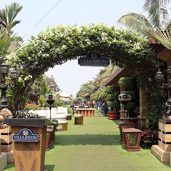Bougainvillea White Arch