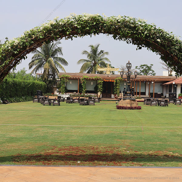 Bougainvillea White Arch