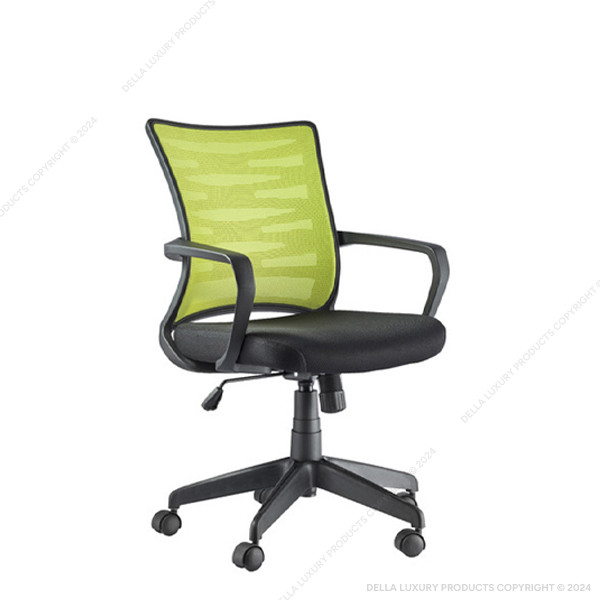 Cathe Mid Back Workstation Chair