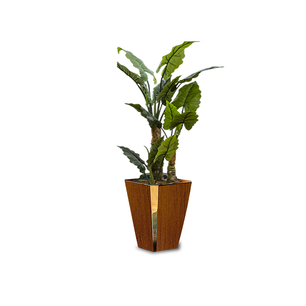 Cranaus Planter