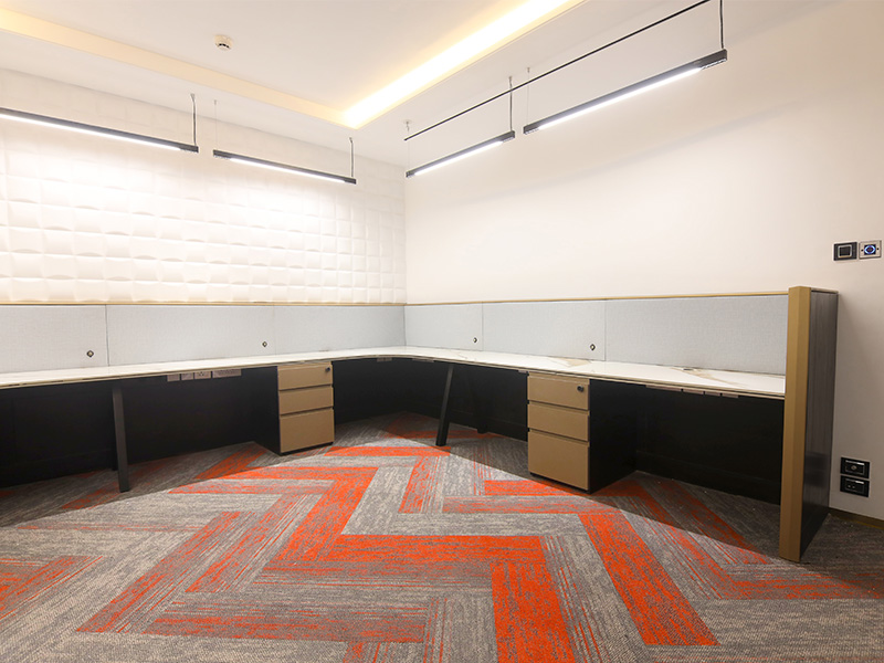 Project Gallery Image