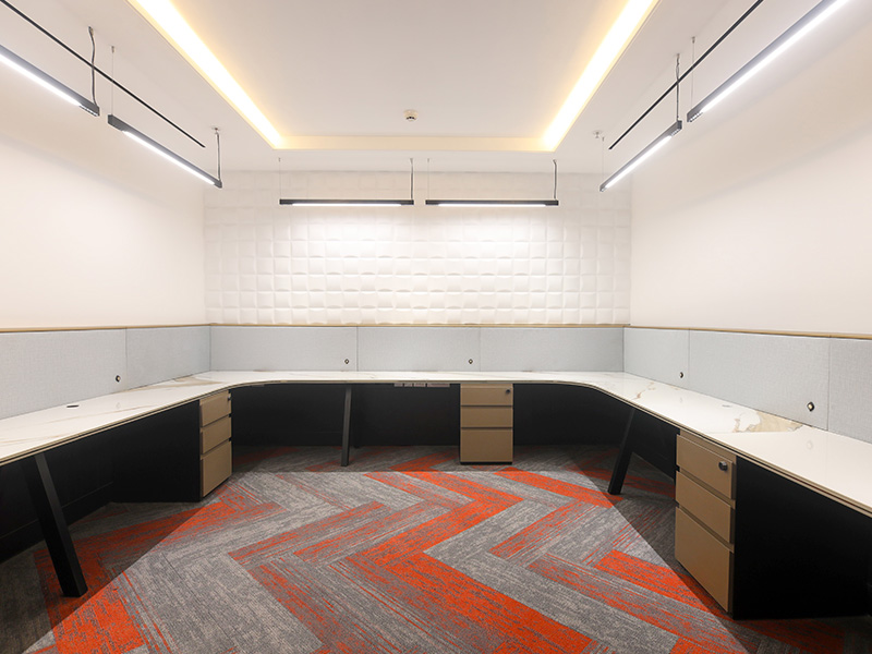 Project Gallery Image