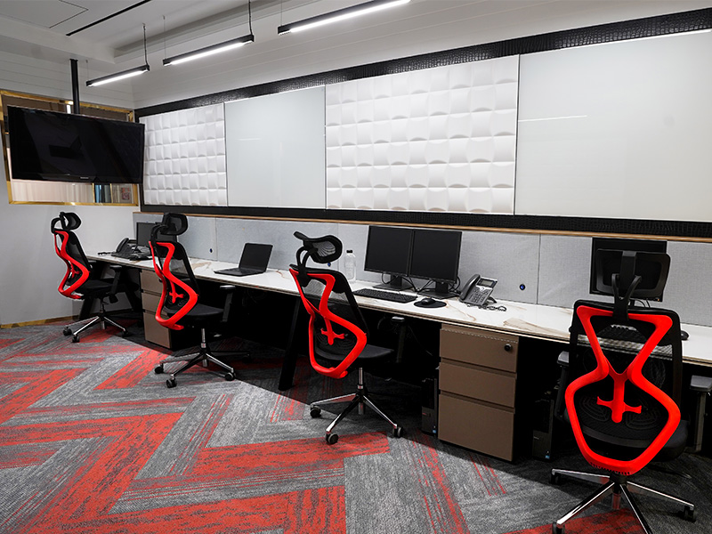 Project Gallery Image