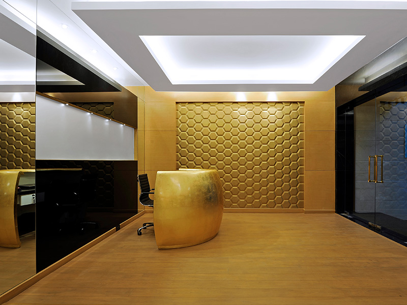 Project Gallery Image