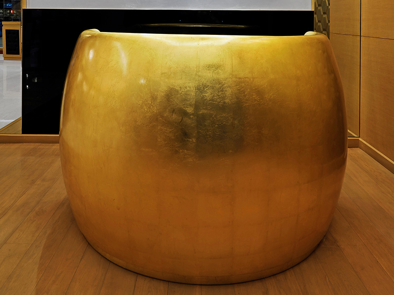 Project Gallery Image