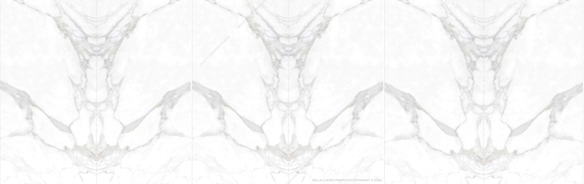 Collection Banner