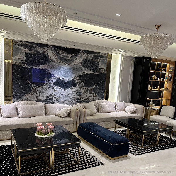 Della Luxury Home Furniture Inaha Coffee Table HOME-WP-534150 Product Image