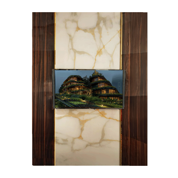 Kgosi T.V Panel