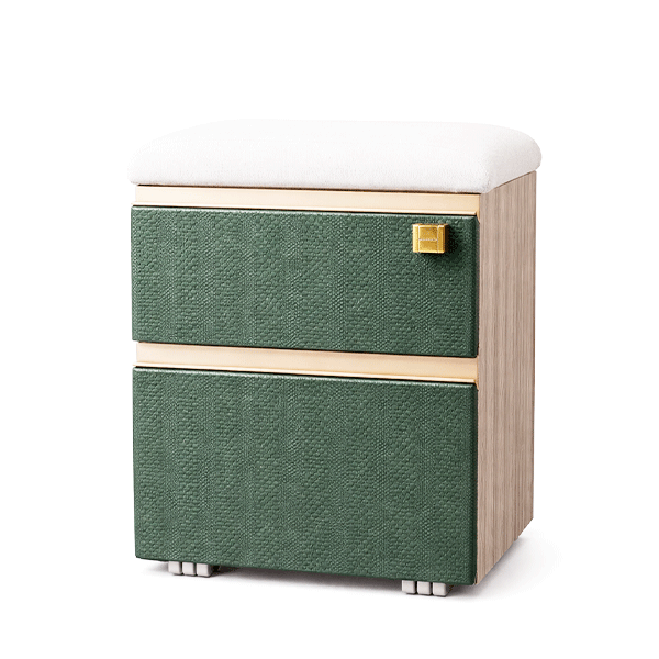 Bardiya Mobile Pedestal ( 2 Drawers )