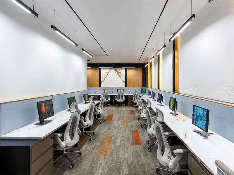 Project Gallery Image