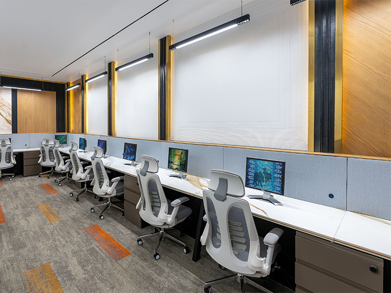 Project Gallery Image