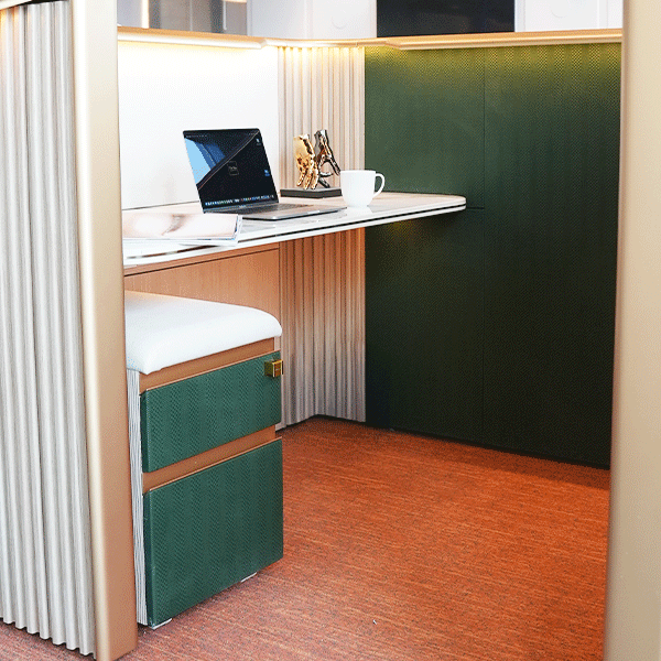 2-Bardiya Mobile Pedestal ( 2 Drawers ) OFFI-WP-569075