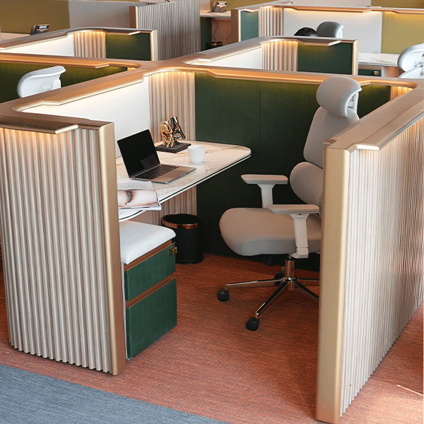 3-Bardiya Mobile Pedestal ( 2 Drawers ) OFFI-WP-569075