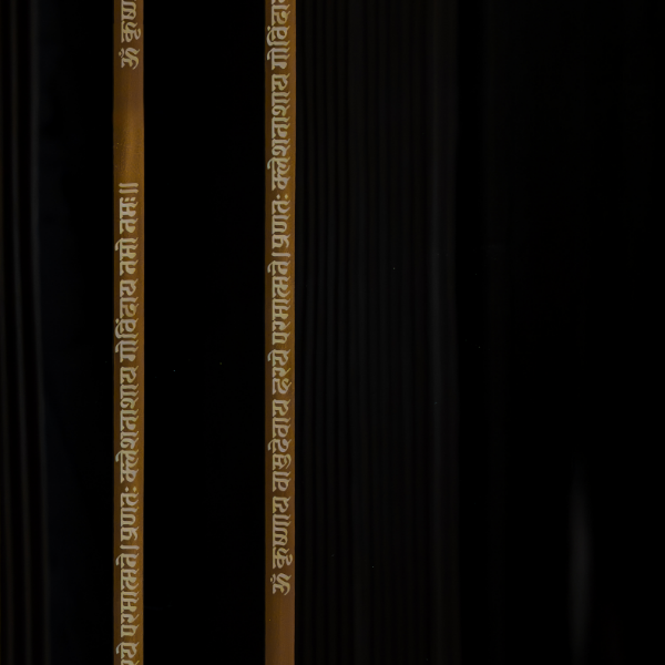 3-Deneb External Single Door DOOR-WP-582203