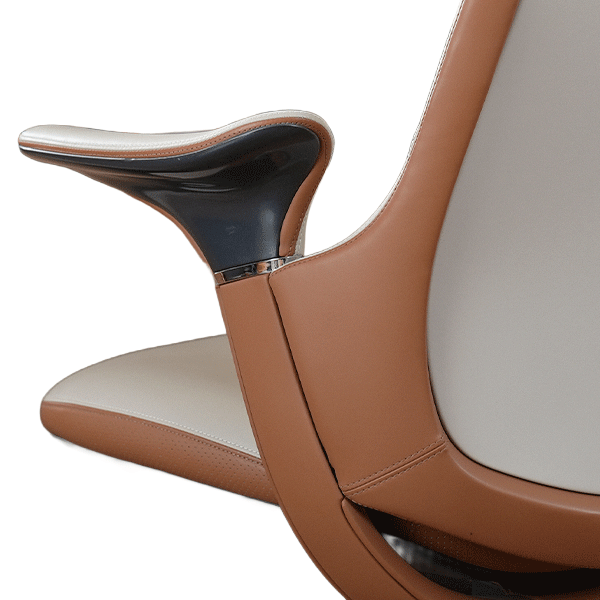 Borzo Office Chair