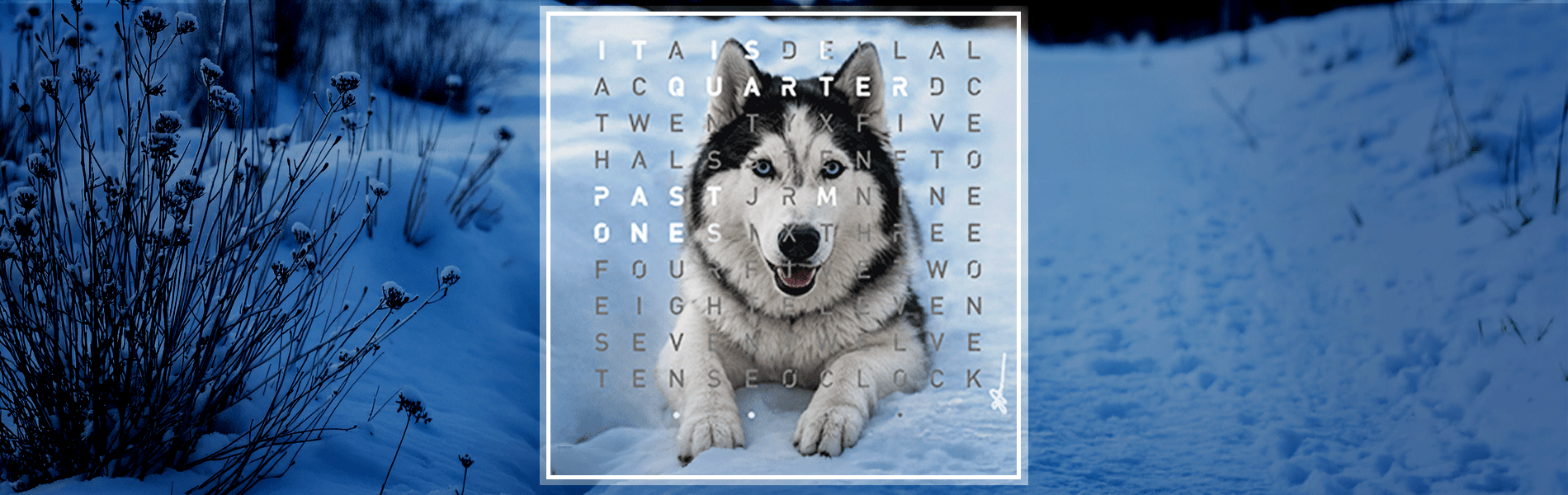 Collection Banner