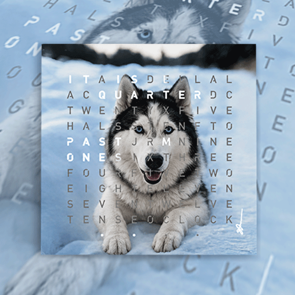 Pet Collection