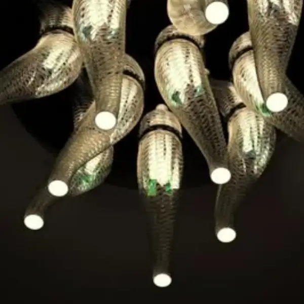 LG Pyrosome