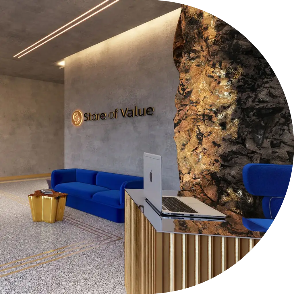 Store of Value
